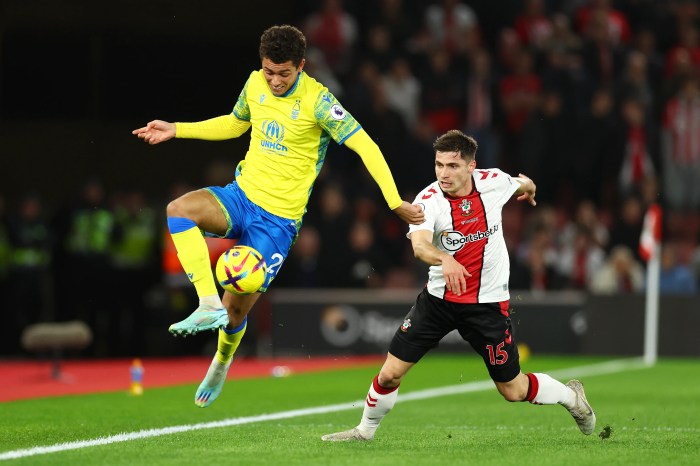 Link Live Streaming Southampton vs Nottingham Forest 24 Agustus 2024